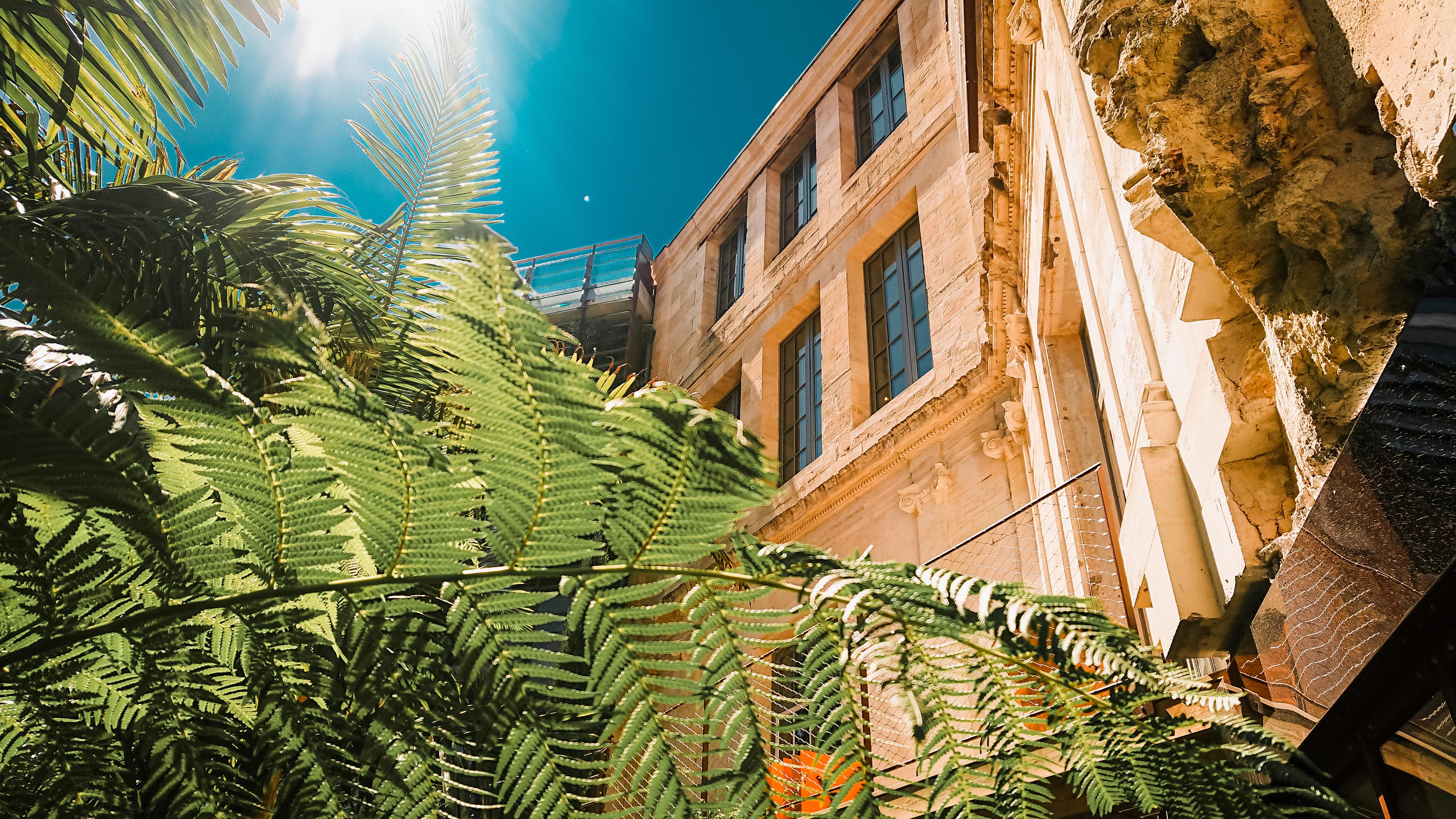 Hotel La Zoologie & Spa Бордо Экстерьер фото